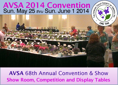 AVSA 2014 Convention- tour Optimara African Violets
