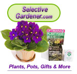 Shop Online: African Violets, Orchids, House-Plants, Gifts, Ceramic/Plastic Pots & more! Optimara Online Sales