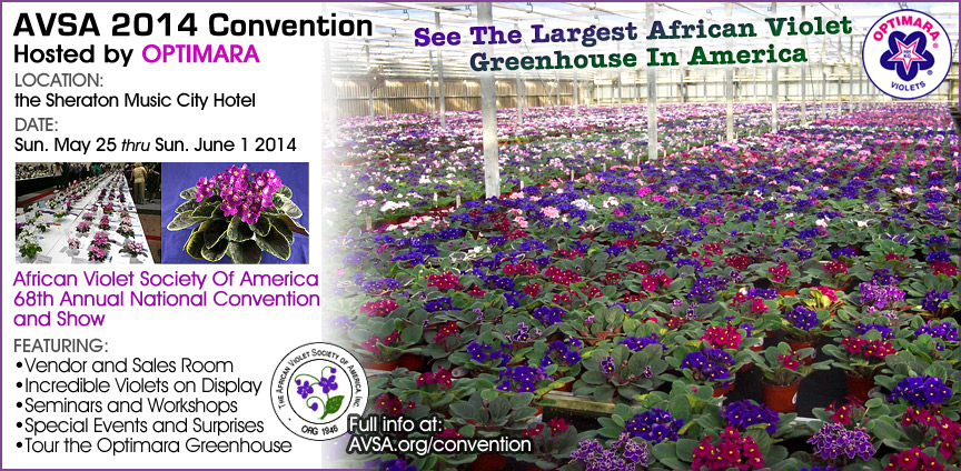 AVSA 2014 Convention- tour Optimara African Violets