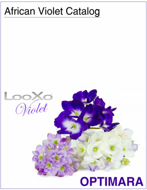Optimara Violet Grower Catalog