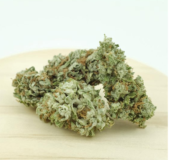 Sour G (CBG) - Certificate Of Analysis Sour G - Certificate Of Analysis