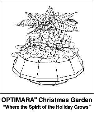 Poinsettia Garden