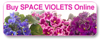Get an EverFloris 'Space Violet' today!