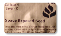 NASA Space Seeds Experiment