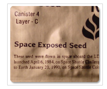 Space Seeds