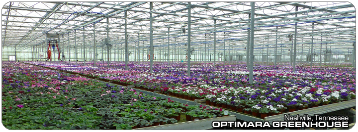 Optimara Greenhouse